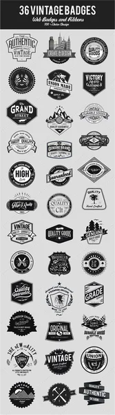 Set insignias vintage — Archivo Imágenes Vectoriales