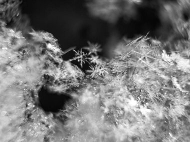 Kar taneleri, yağan karlara yakın çekim