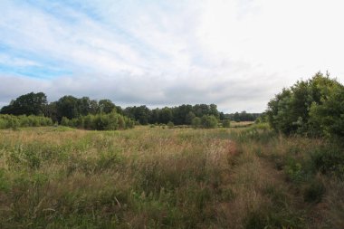 Tarlaları, ağaçları ve bulutlu gökyüzü olan kırsal bitki örtüsü.