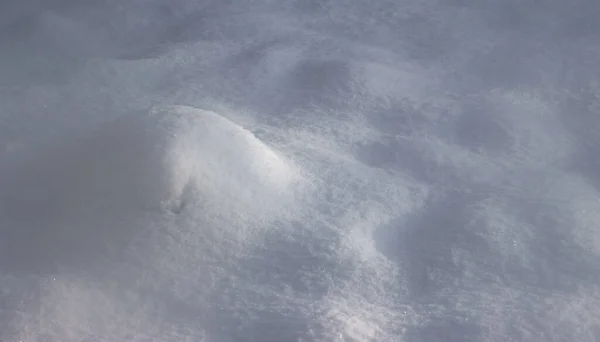 Snow fell on the ground in the early morning in winter.