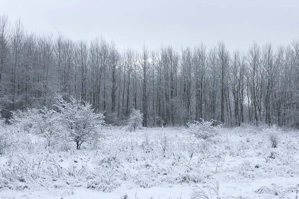Europäische Winterliche Schneelandschaft Außerhalb Der Stadt — Stockfoto