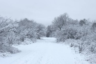 Avrupa kış karlı manzarası şehir dışında.