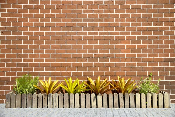 Foto de fondo de pared grunge Stock con follaje — Foto de Stock