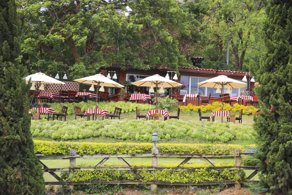 Archivbild Holztische und Stühle auf der Terrasse im Restaurant. — Stockfoto