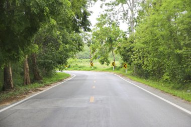 Stok fotoğraf boş yol her iki tarafında bir ağaç