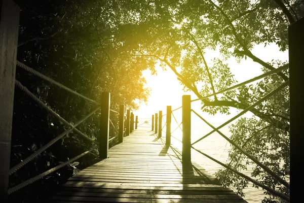 Foto stock Ponte de madeira na floresta. Filtro vintage sombra escura — Fotografia de Stock