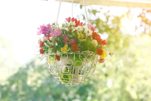 Foto d'archivio vaso di fiori appeso nel parco — Foto Stock