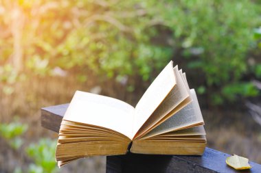 Stok fotoğraf eski kitap orman parkta bankta