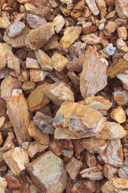 Makro kum taşı, tortulu bir kaya. 