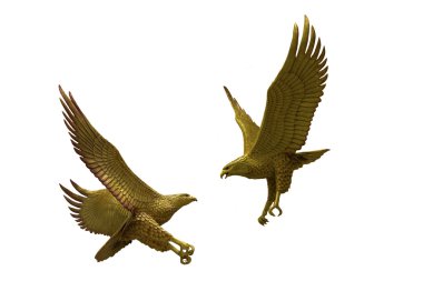 Beyaz arka plan üzerinde savaşan Kartallar