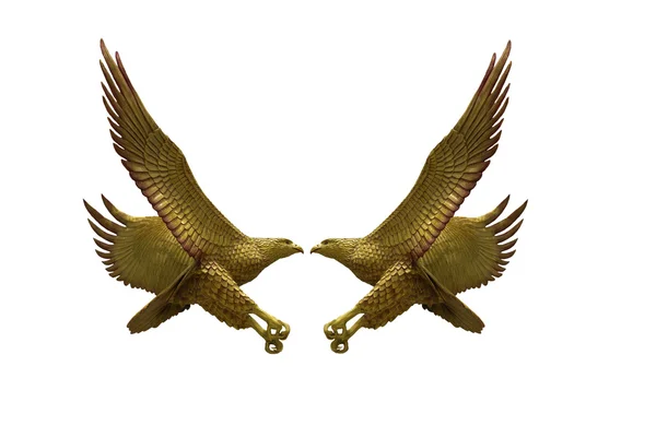Eagles fighting on white background — Stock Photo, Image