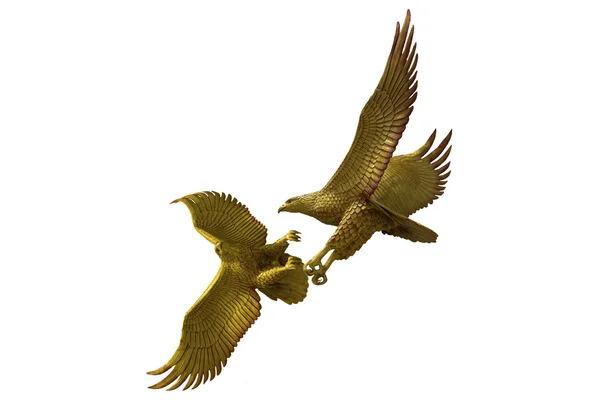 Eagles fighting on white background — Stock Photo, Image