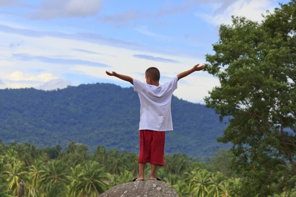 Niño pequeño en una roca en el bosque —  Fotos de Stock