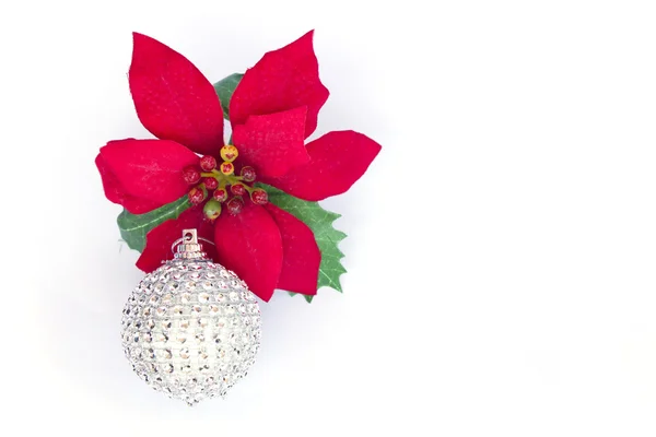 Krásné červené vánoční hvězda na bílém pozadí. — Stock fotografie