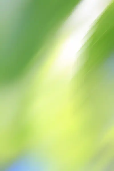 Lente groene bladeren grens — Stockfoto