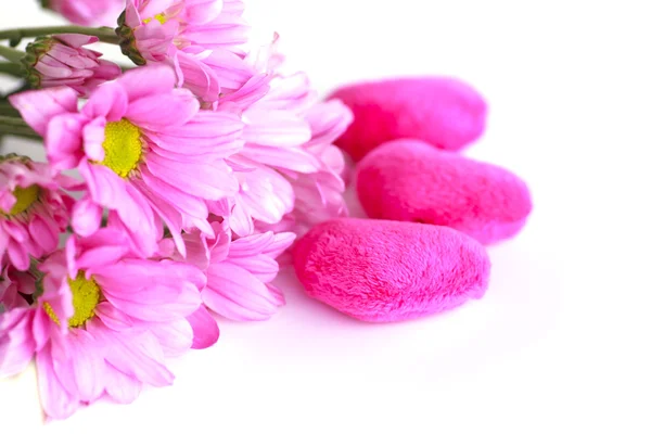 Valentine serca tkaniny z chryzantema różowa - czas obrazu — Zdjęcie stockowe