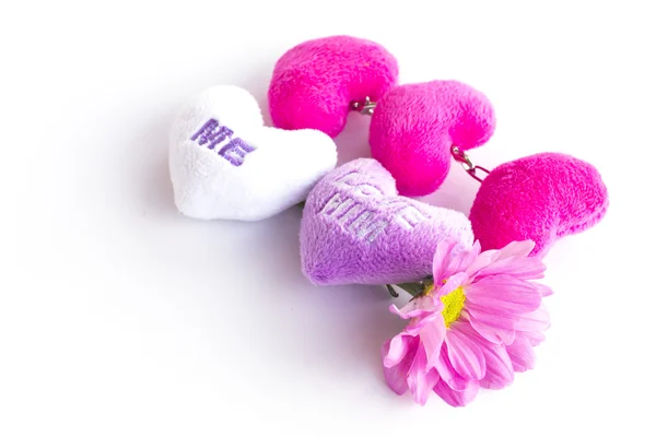 Valentine serca tkaniny z chryzantema różowa - czas obrazu — Zdjęcie stockowe