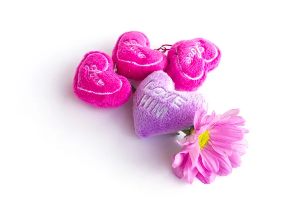 Αγίου Βαλεντίνου καρδιά ύφασμα με ροζ χρυσάνθεμο - απόθεμα εικόνας — Φωτογραφία Αρχείου