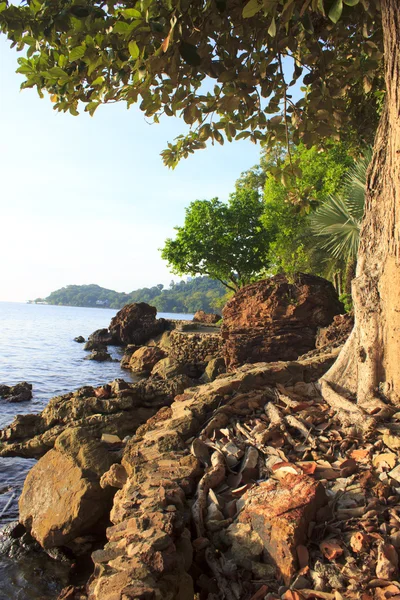 Sommar landskap med turkosa havet. Digital målning - lager Im — Stockfoto