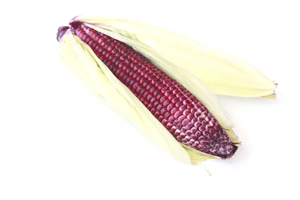 Purple Corn - Stock Image — Stock Photo, Image