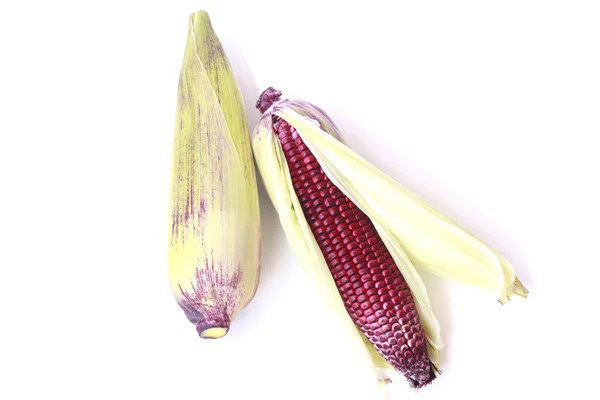 Purple Corn - Stock Image — Stock Photo, Image