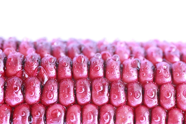 Purple Corn - Stock Image — Stock Photo, Image