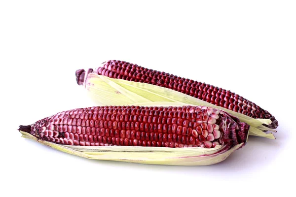 Purple Corn - Stock Image — Stock Photo, Image