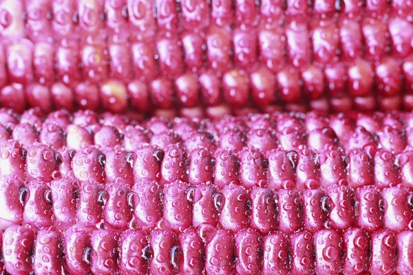 Purple Corn - Stock Image — Stock Photo, Image