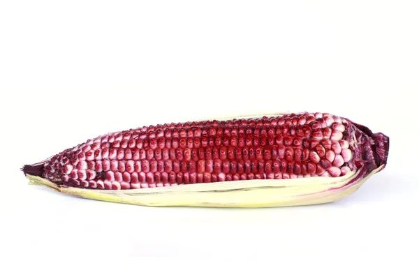 Purple Corn - Stock Image — Stock Photo, Image