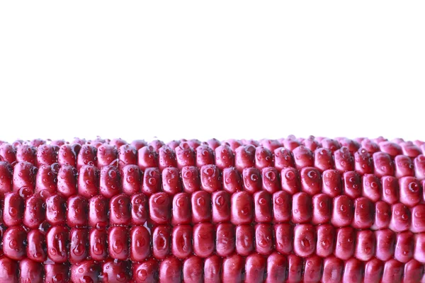 Purple Corn - Stock Image — Stock Photo, Image