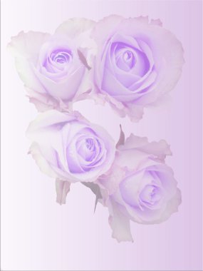 ışık turuncu gül buketi