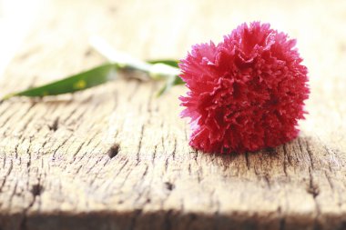 Kahverengi ahşap backgrond - stok görüntü üzerinde çiçekler