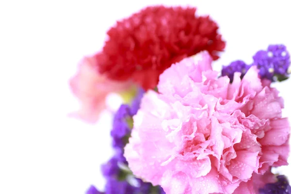 Różowy kwiat w stylu soft kolor - czas obrazu — Zdjęcie stockowe