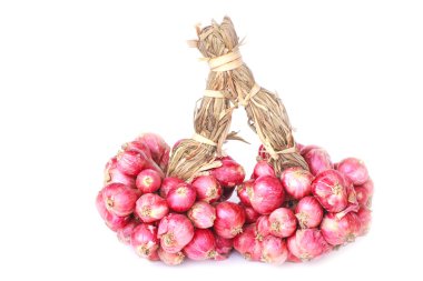 Kırmızı soğan - stok görüntü