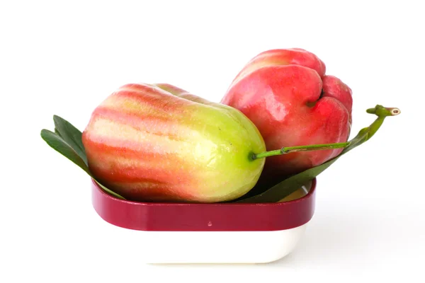 Rose Apple - Immagine stock — Foto Stock