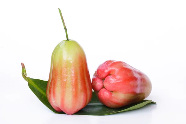 Apple y Rose Apple - Imagen de stock — Foto de Stock