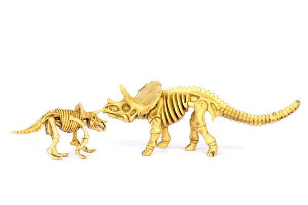 Dinozaur szkielet model na białym tle biały - czas obrazu — Zdjęcie stockowe