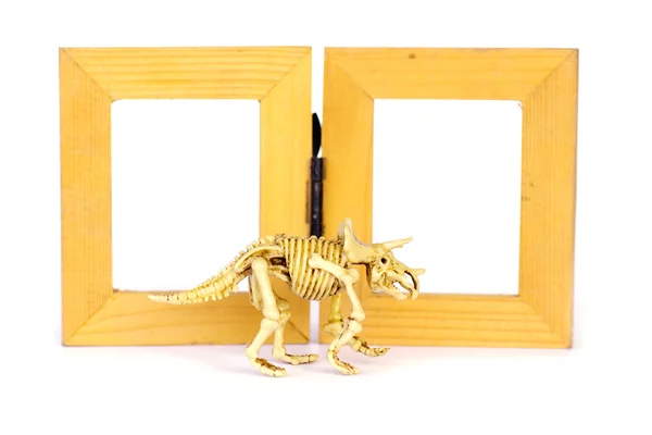 Dinosaur skeleton model on wood frame isolated on white - Stock — Stock Photo, Image