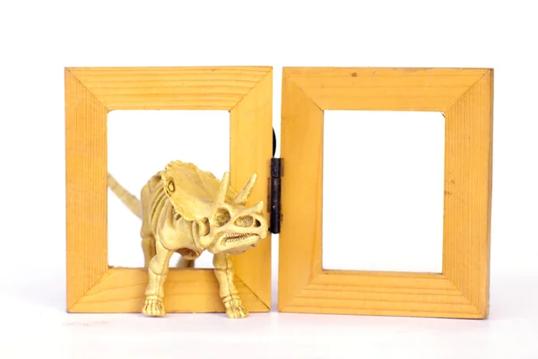 Dinosaurus skelet model op houten frame geïsoleerd op wit - Stock — Stockfoto