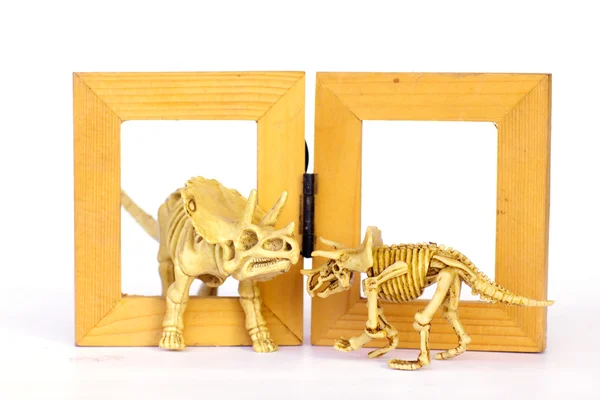 Dinosaur skeleton model on wood frame isolated on white - Stock — Stock Photo, Image