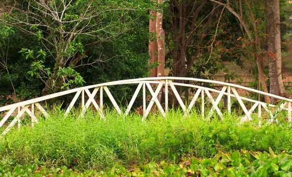 Een klassieke houten brug Riverwalk - Stock beeld — Stockfoto