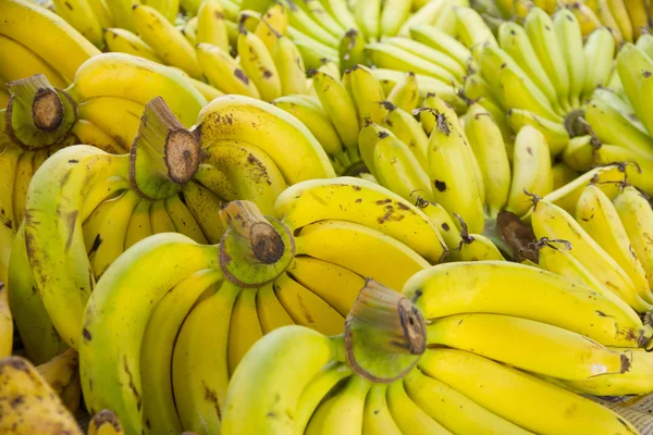 Бананы на рынке - Stock Image — стоковое фото