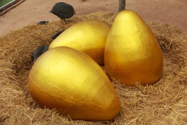 Easter Egg - stok görüntü