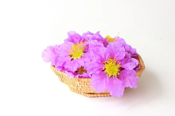 Flowers basket - Stock Image — Stock Photo, Image