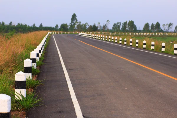 Stock Photo - Spring road — Stock Photo, Image