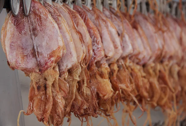 Stock Photo - Close up dried squid hanging in row waiting for cu — Stock Photo, Image