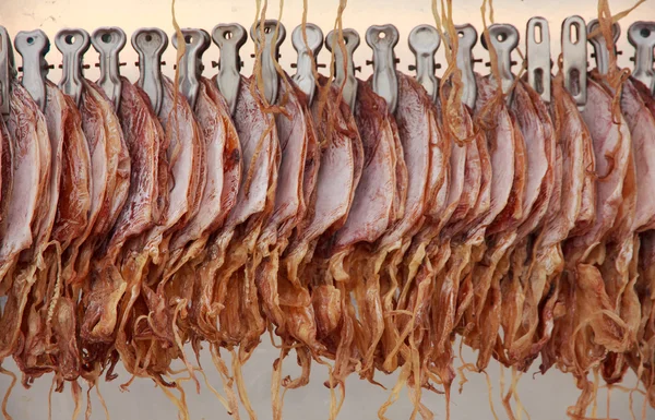 Stock Photo - Close up dried squid hanging in row waiting for cu — Stock Photo, Image