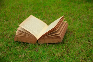 Hazır Fotoğraf - doğa arka plan üzerine açık kitap