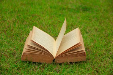 Hazır Fotoğraf - doğa arka plan üzerine açık kitap