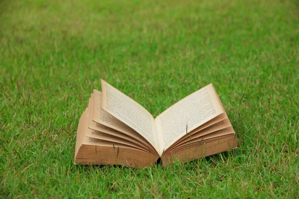 Stockfoto - öppen bok på natur bakgrund — Stockfoto